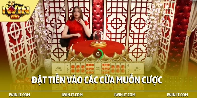 Đặt tiền vào các cửa muốn cược